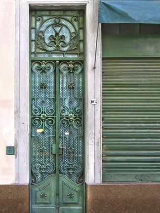 Framed Doors Abroad I Print