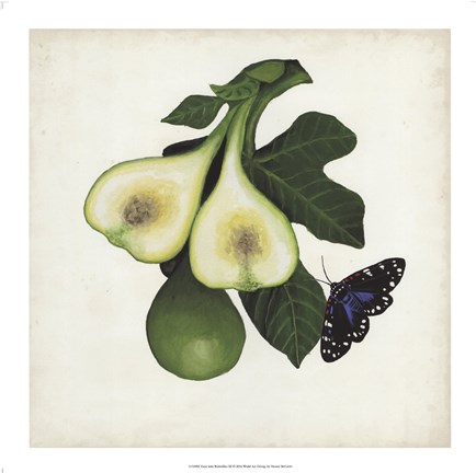 Framed Fruit with Butterflies III Print