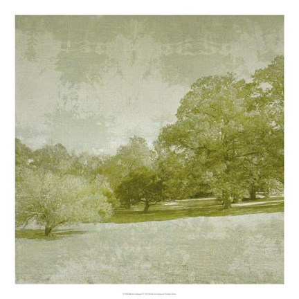 Framed Beryl Landscape  I Print