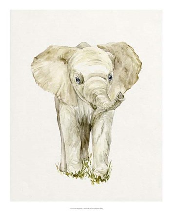 Framed Baby Elephant II Print