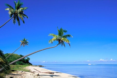 Framed Beach, Malololailai, Mamanuca Group, Fiji Print