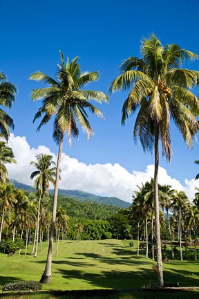 Framed Golf course, Taveuni Estates, Taveuni, Fiji Print