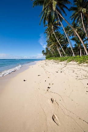 Framed Lavena Beach in Taveuni, Fiji Print