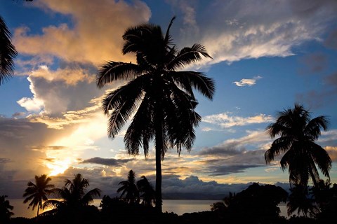 Framed Palm Silhouettes at Sunset, Taveuni,  Fiji Print