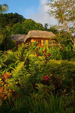Framed Lush Gardens, Matangi Private Island Resort, Fiji Print