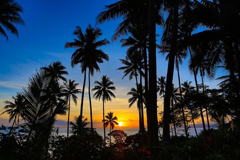Framed Sunset and Palms, Taveuni, Fiji Print