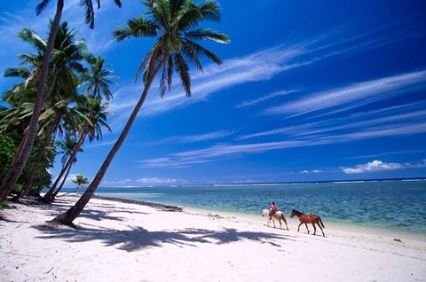 Framed Girl on Beach and Coconut Palm Trees, Tambua Sands Resort, Fiji Print