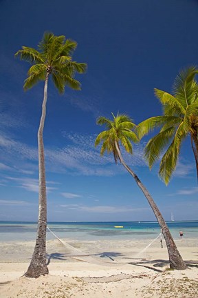 Framed Hammock and palm trees, Plantation Island Resort, Malolo Lailai Island, Mamanuca Islands, Fiji Print