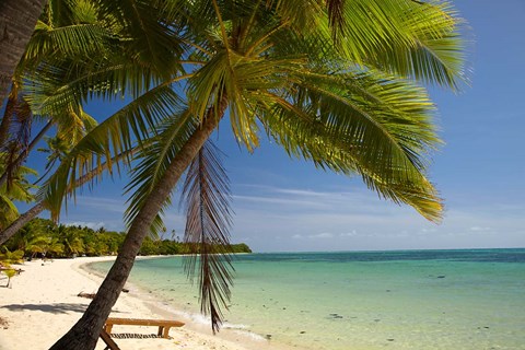 Framed Beach and palm trees, Plantation Island Resort, Mamanuca Islands, Fiji Print