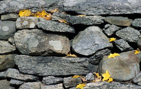 Framed Yard of the Main House on Henderson property, Litchfield Hills, New Milford, Connecticut Print