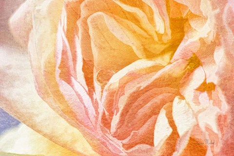 Framed Dew Drop In Print