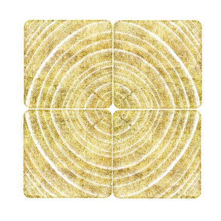 Framed Tree Ring Triptych II Print