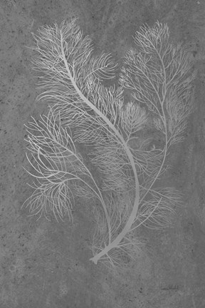 Framed Fern Algae Silver on Black 2 Print