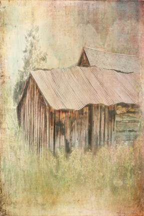 Framed Chinese Goods Print