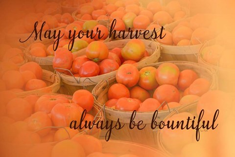 Framed Harvest Wish Print