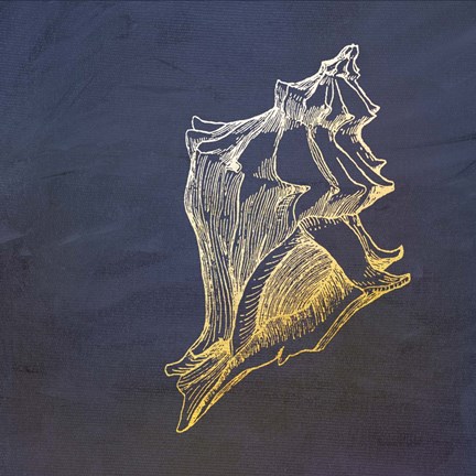 Framed Golden Seashell Print