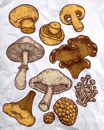 Framed Mushroom Variation Print