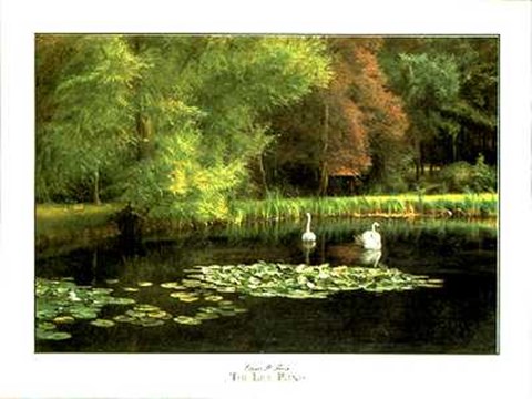Framed Lily Pond Print