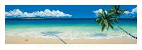 Framed Elena Panizza - Tropical Horizon Size 54.5x19.25 Print