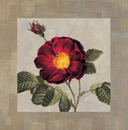 Framed Timeless I Print