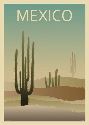 Framed Sonoran Desert Print