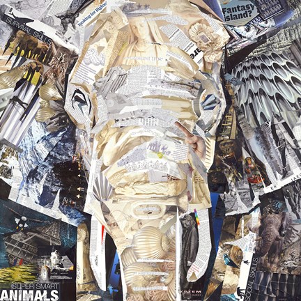 Framed Elephants Gaze Print