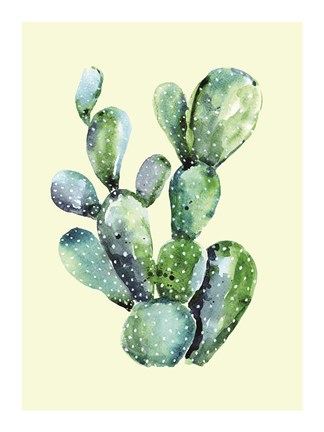 Framed Cactus Print