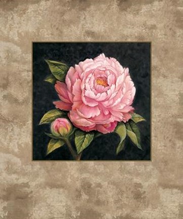 Framed Pink Peony Print