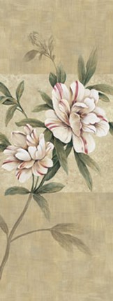 Framed Elegance II Print