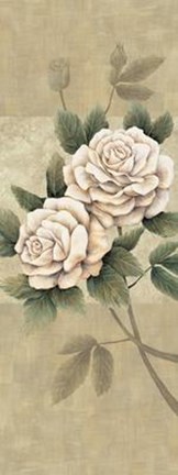 Framed Elegance I Print