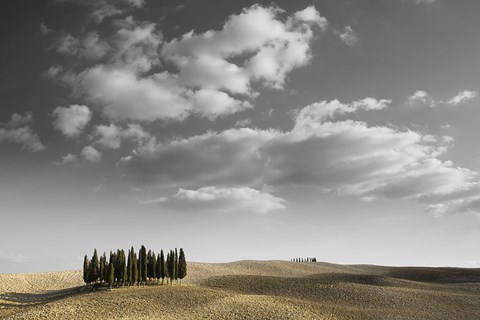 Framed Toscana Landscape 1 Print