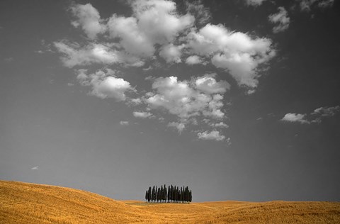 Framed Toscana Landscape 2 Print