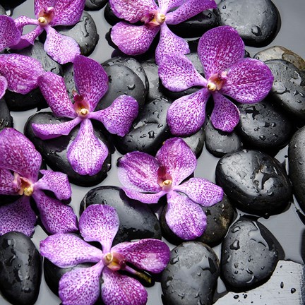 Framed Zen Pebbles 5 Print