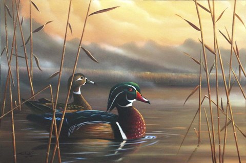 Framed Wood Ducks Print