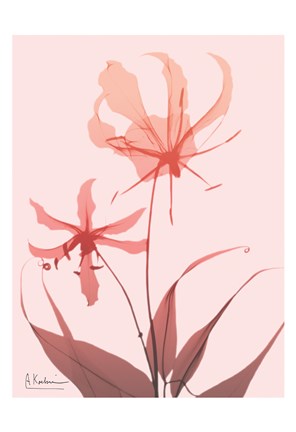 Framed Furiosa Lily Print