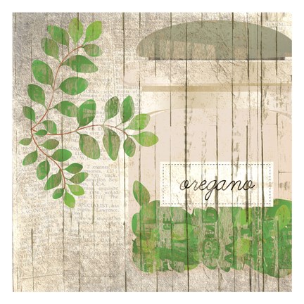 Framed Oregano Print