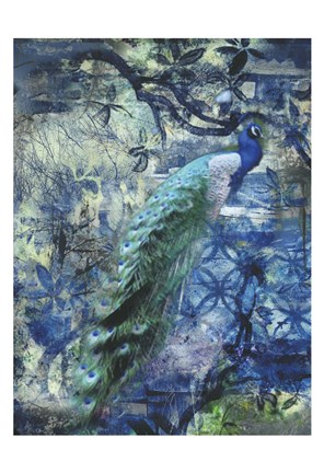Framed Peacock Jungle Sea Print