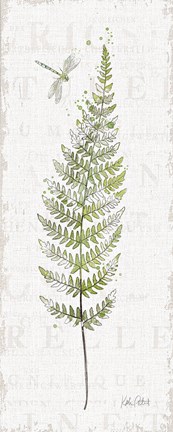 Framed In the Forest IX Print