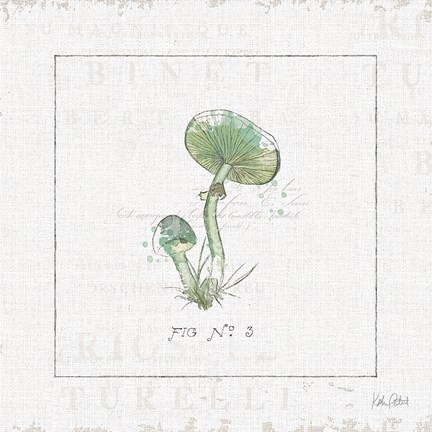 Framed In the Forest III Print