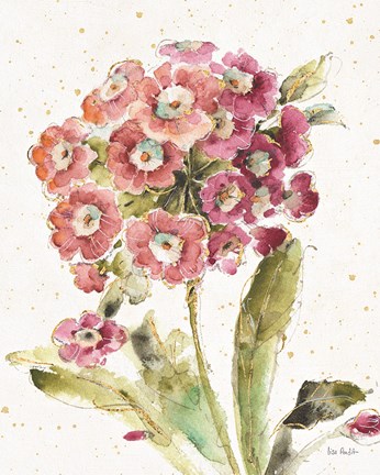 Framed Country Bloom II Print