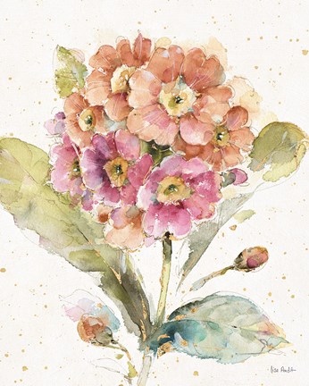 Framed Country Bloom III Print