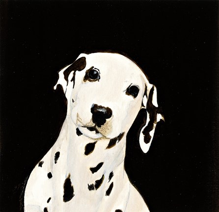 Framed Dakota II Print