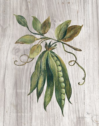 Framed Market Vegetables II Print