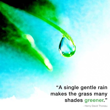 Framed Single Gentle Rain - Henry Thoreau Quote (Droplet) Print