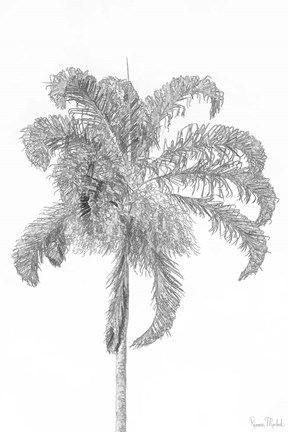 Framed Swaying Palm III Print