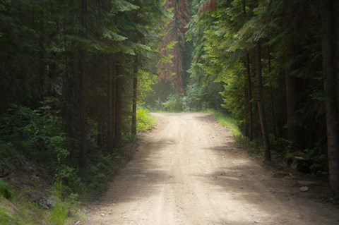 Framed Adventure Print