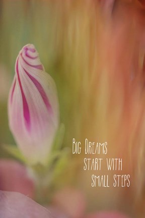 Framed Small Steps Print