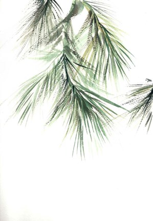 Framed Pine Leaves II Print