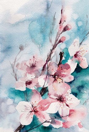 Framed Aqua Blossoms Print