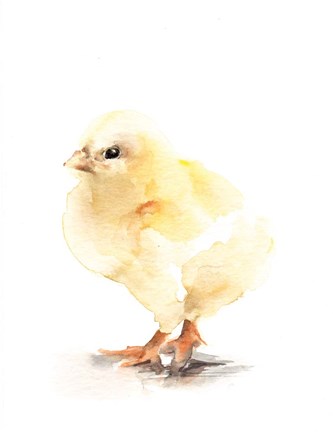 Framed Chick Print